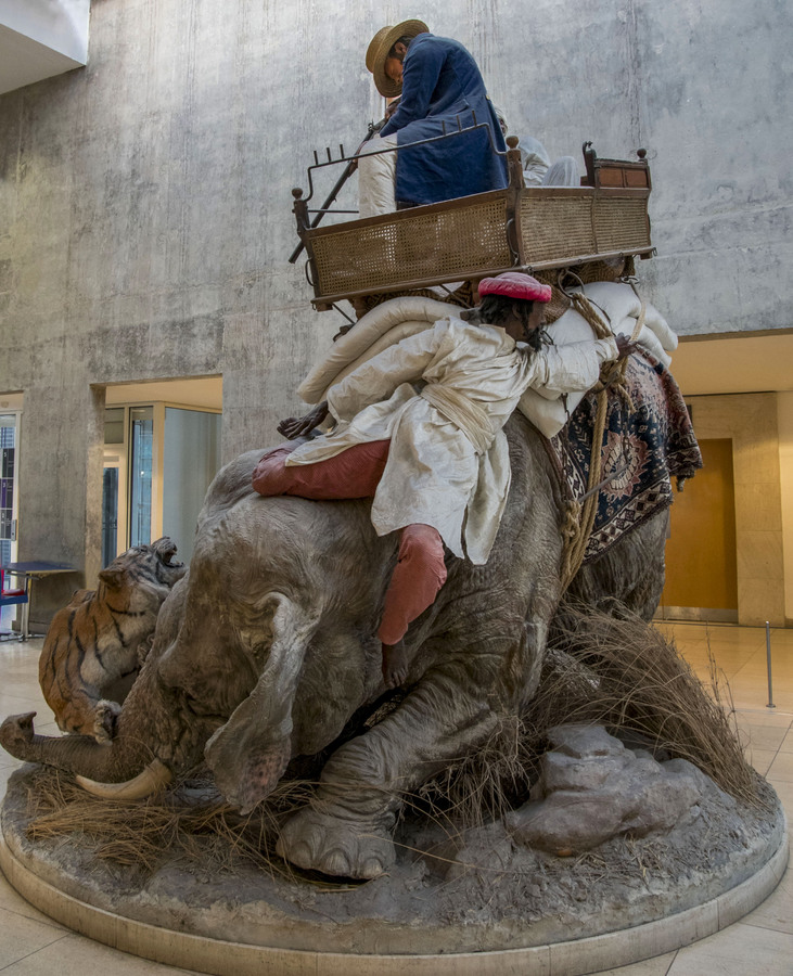 Tiger hunting in Leeds